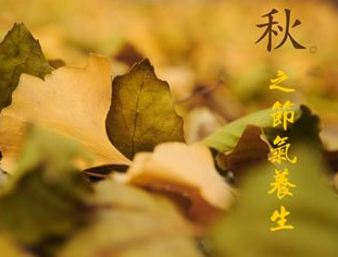 圖片5